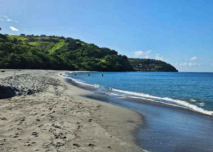 Dominica Seaside Beaches & Attractions Tour